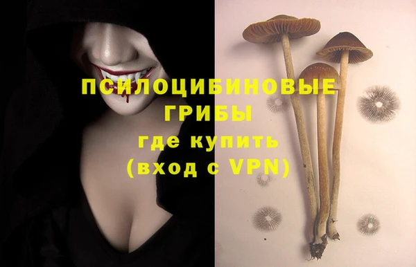 спайс Костерёво