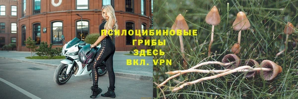 спайс Костерёво
